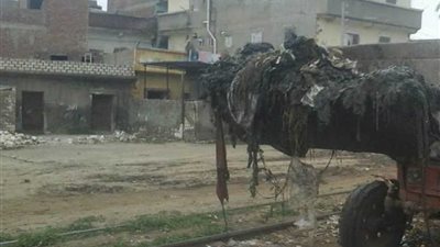 رفع 1014 طن قمامة فى حملة مكبرة لرفع كفاءة النظافة بالبحيرة