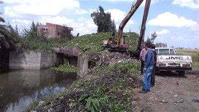 تكثيف أعمال تطهير الترع والمصارف بقرى البحيرة