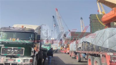 نشاط بميناء الإسكندرية واستمرار حركة سفن البضائع صادر ووارد