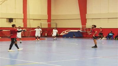 فراعنة اليد يواجهون تونس في النهائي