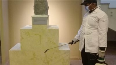 بالصور.. استمرار عمليات تعقيم الفراعنة 