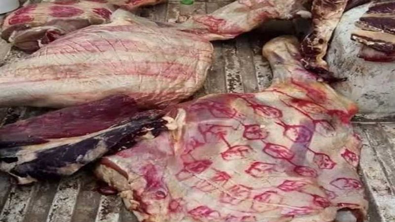 حملة مكبرة للرقابة