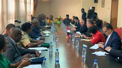 مصر تتعاون مع الكاميرون في صناعة الأخشاب