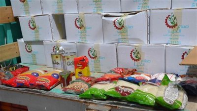 1000 كرتونة مواد غذائية لقريتين أكثر احتياجًا بالمنيا