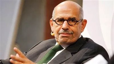 بلاغ يتهم البرادعي بالإساءة للمصريين ونشر أخبار كاذبة 