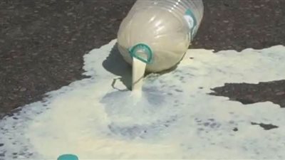  شاهد.. منتجو الحليب يسكبونه  نتيجة إغلاق المطاعم بسبب كورونا