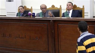 جنايات سوهاج تعاقب 7 عناصر إخوانية 