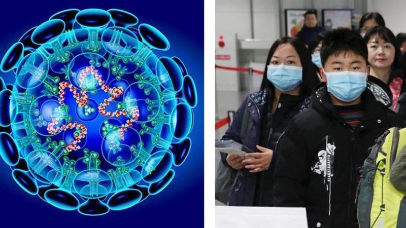 فيروس كورونا