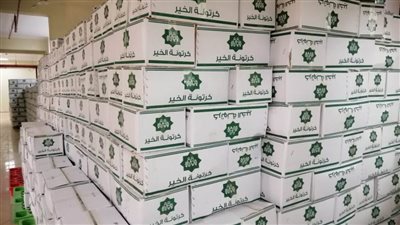 ضمن حملة زكاتك وقت الأزمة..  مصر الخير توزع 52 ألف كرتونة 