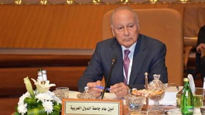 أبوالغيط يوضح كيفية حل الأزمة العراقية 