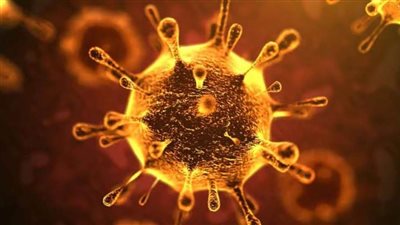 النمسا تخطط لمواجهة انتشار 