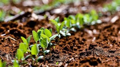 التموين: نتعاون مع 