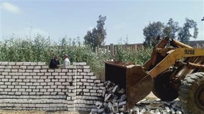 إزالة 189 حالة تعدٍ على الأراضي الزراعية بالبحيرة (صور)