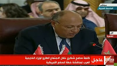عاجل.. سامح شكري: مصر متمسكة بإقامة دولة فلسطينية عاصمتها القدس الشرقية  
