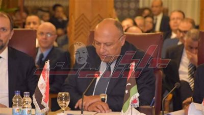 نص كلمة مصر بجامعة الدول العربية بشأن فلسطين