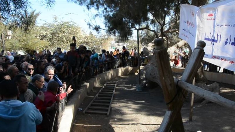 الوزير والحافظ بالبهنسا