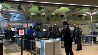 بالصور.. رحلة مصرية من نيويورك إلى مصر