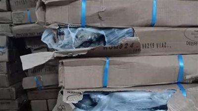 ضبط 61 طن أسماك غير صالحة بكفر الدوار