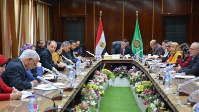 نائب محافظ الدقهلية يتابع تطوير العشوائيات