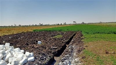 إزالة 8 حالات تعد على الأراضي الزراعية وأملاك الدولة بأهناسيا