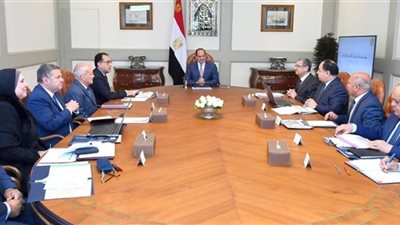 الرئيس السيسي يوجه بتوطين صناعة السيارات الكهربائية في مصر 