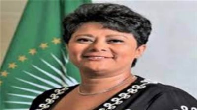 نجم: مصر ستفوز بالتزكية فى انتخابات مجلس الأمن والسلم الإفريقي  