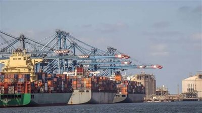 ميناء دمياط يستقبل 12 سفينة خلال 24 ساعة