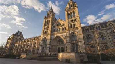 متحف التاريخ الطبيعى.. سجل الأرض