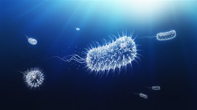 تعرف على الفيروسات الأكثر فتكا على وجه الأرض!