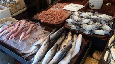 أسعار الأسماك ..اليوم