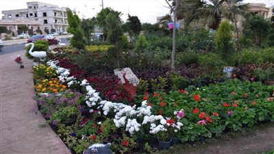 تشغيل 7 مواقع جديدة بمشروع شارع شباب مدينة الشروق