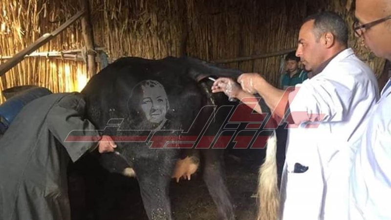 حملات التحصين مستمرة