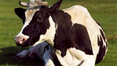 سويسرا تعلن عن أول إصابة بـ