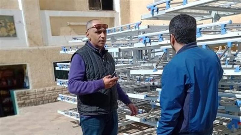 بوابة روز اليوسف