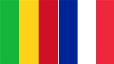 وزير الدفاع المالي يبحث مع وفد عسكري فرنسي تطوير التعاون الثنائي