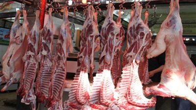 مجلس الوزراء ينفي إغلاق جميع مجازر اللحوم بالدقهلية