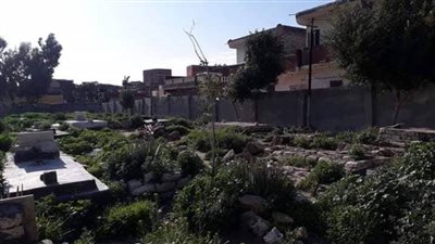 أهالي زواية عبد القادر يطلقون مبادرة لاستقبال جثامين شهداء فيروس كورونا