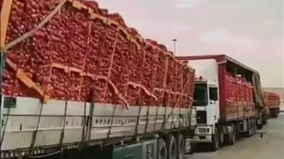 السعودية.. ضبط 6 شاحنات بصل أخفيت عن السوق