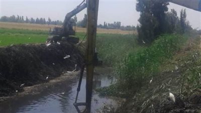 عاجل.. بدء إحلال وتجديد الكباري على مصرف سيدي عيسى