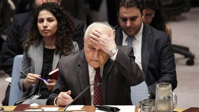 حذف إدانة خطة السلام من مشروع قرار في مجلس الأمن