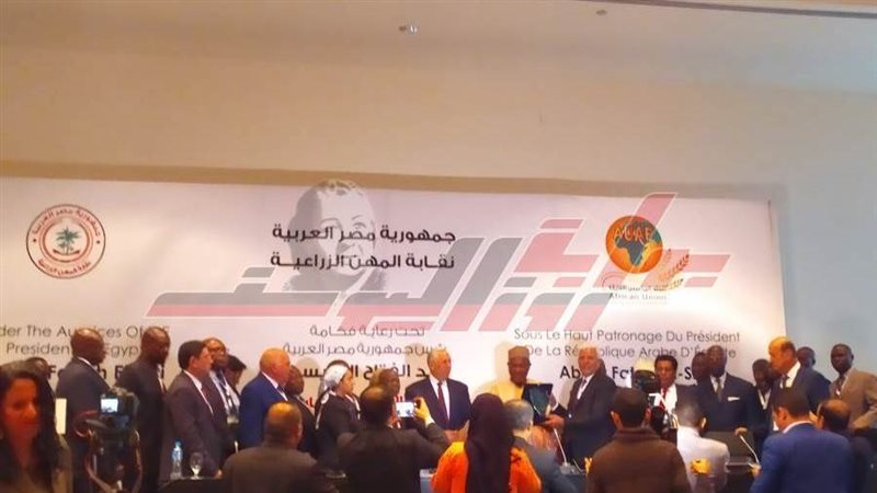 الدكتور سيد خليفة