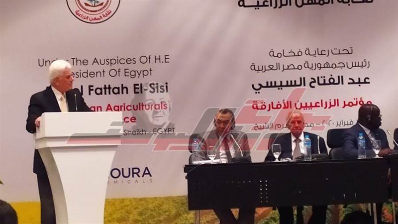 د. إسماعيل عبدالجليل