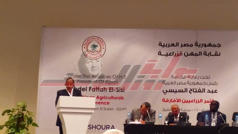 د. مجدي علام أمين