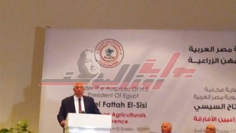 السيد القصير - وزير