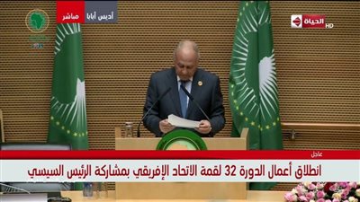 أبو الغيط: الرئيس السيسي حقق إنجازات مهمة للاتحاد الإفريقي