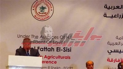 البطران يوضح تحديات التجارة البينية بين الأفارقة 