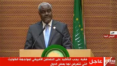 فكي: نأمل أن نستفيد من خبرة وحكمة الرئيس السيسي في المستقبل (فيديو)