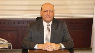 أبو العطا عن فوز مصر بعضوية مجلس الأمن: إنجاز يُحسب للرئيس السيسي