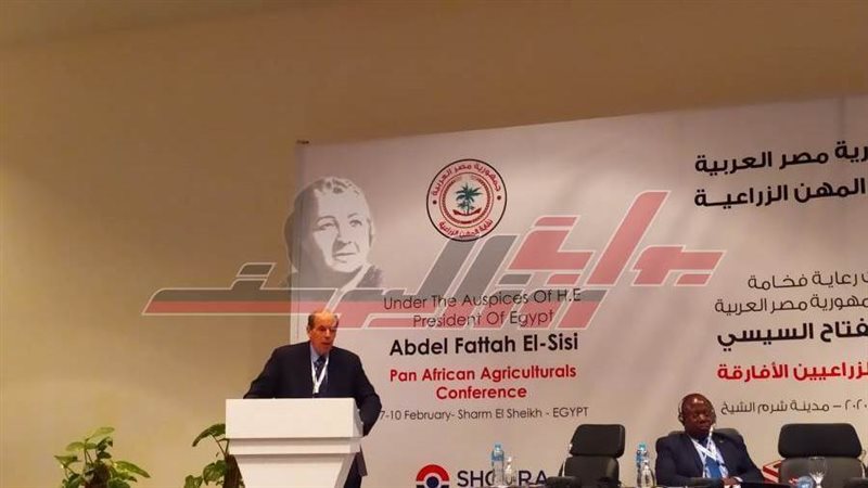 د. عبدالغني الجندي