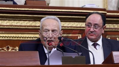 تشريعية النواب تقتحم جرائم الأطفال بتغليظ العقوبة